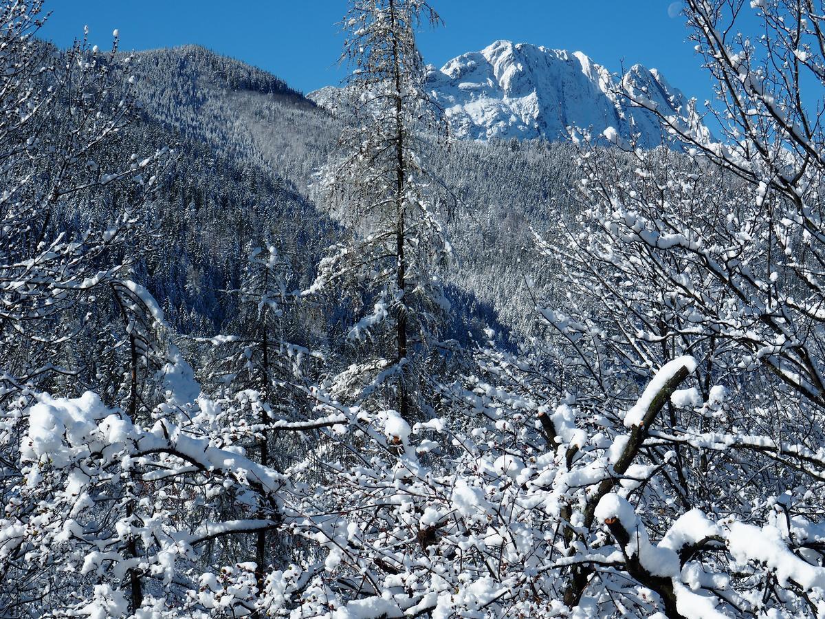 Koci Zamek Appartement Zakopane Buitenkant foto